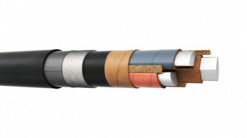 ЦАСБлШв 3x50 (ож)